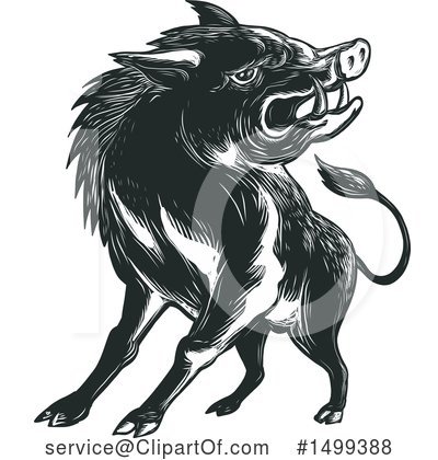 Royalty-Free (RF) Boar Clipart Illustration by patrimonio - Stock Sample #1499388