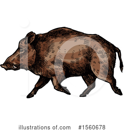 Royalty-Free (RF) Boar Clipart Illustration by Vector Tradition SM - Stock Sample #1560678
