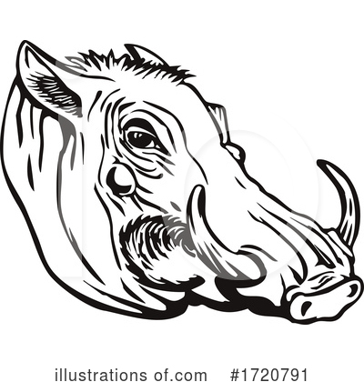 Royalty-Free (RF) Boar Clipart Illustration by patrimonio - Stock Sample #1720791