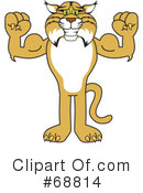 Bobcat Character Clipart #68814 by Mascot Junction
