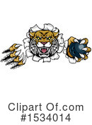 Bobcat Clipart #1534014 by AtStockIllustration