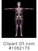 Body Clipart #1062173 by KJ Pargeter