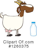 Boer Goat Clipart #1260375 by Hit Toon