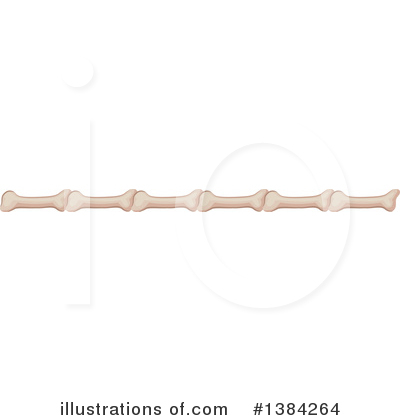 Royalty-Free (RF) Bones Clipart Illustration by BNP Design Studio - Stock Sample #1384264
