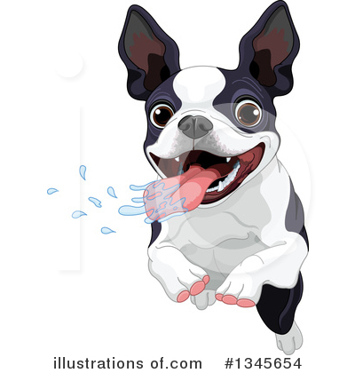 Royalty-Free (RF) Boston Terrier Clipart Illustration by Pushkin - Stock Sample #1345654