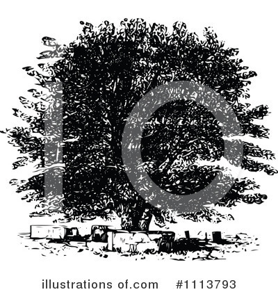 Royalty-Free (RF) Botanical Clipart Illustration by Prawny Vintage - Stock Sample #1113793