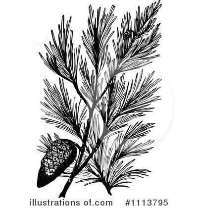 Royalty-Free (RF) Botanical Clipart Illustration by Prawny Vintage - Stock Sample #1113795