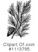 Botanical Clipart #1113795 by Prawny Vintage