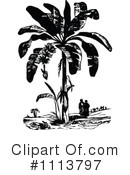 Botanical Clipart #1113797 by Prawny Vintage