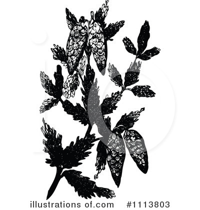 Royalty-Free (RF) Botanical Clipart Illustration by Prawny Vintage - Stock Sample #1113803