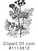 Botanical Clipart #1113812 by Prawny Vintage