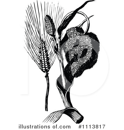 Corn Clipart #1113817 by Prawny Vintage