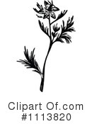 Botanical Clipart #1113820 by Prawny Vintage