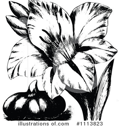 Flower Clipart #1113823 by Prawny Vintage