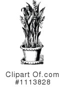 Botanical Clipart #1113828 by Prawny Vintage