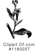 Botanical Clipart #1180297 by Prawny Vintage
