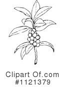 Botany Clipart #1121379 by Prawny Vintage