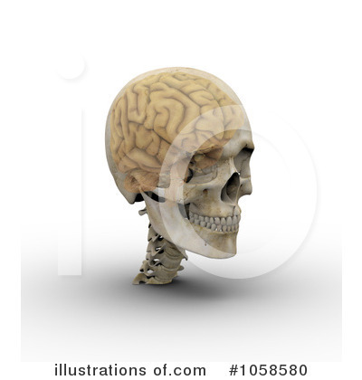 Skeleton Clipart #1058580 by Michael Schmeling