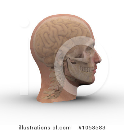 Skull Clipart #1058583 by Michael Schmeling