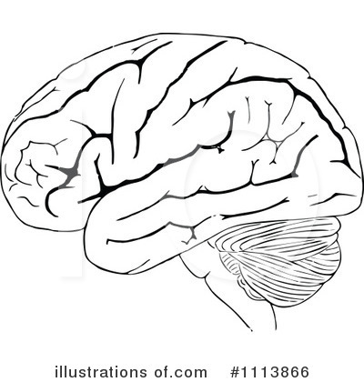 Royalty-Free (RF) Brain Clipart Illustration by Prawny Vintage - Stock Sample #1113866