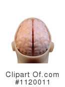 Brain Clipart #1120011 by Mopic
