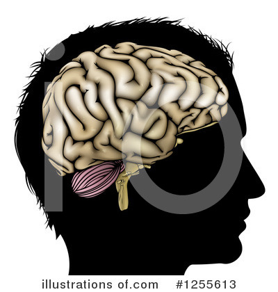 Royalty-Free (RF) Brain Clipart Illustration by AtStockIllustration - Stock Sample #1255613