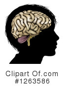 Brain Clipart #1263586 by AtStockIllustration