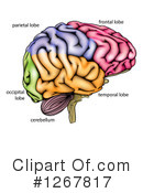 Brain Clipart #1267817 by AtStockIllustration