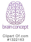 Brain Clipart #1322163 by AtStockIllustration