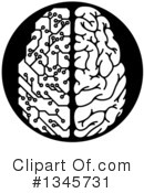Brain Clipart #1345731 by AtStockIllustration