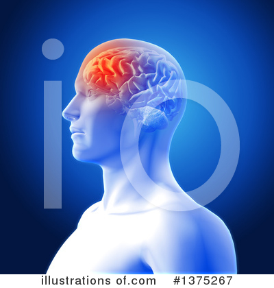 Royalty-Free (RF) Brain Clipart Illustration by KJ Pargeter - Stock Sample #1375267