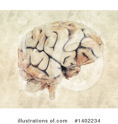 Royalty-Free (RF) Brain Clipart Illustration by KJ Pargeter - Stock Sample #1402234