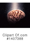 Brain Clipart #1407388 by KJ Pargeter
