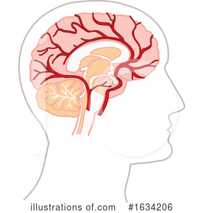 Royalty-Free (RF) Brain Clipart Illustration by NL shop - Stock Sample #1634206