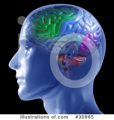 Royalty-Free (RF) Brain Clipart Illustration by Tonis Pan - Stock Sample #30865