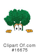 Broccoli Character Clipart #16675 by Mascot Junction