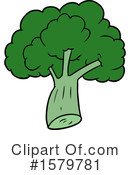 Broccoli Clipart #1579781 by lineartestpilot