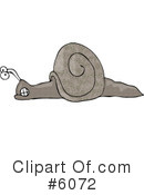 Bug Clipart #6072 by djart