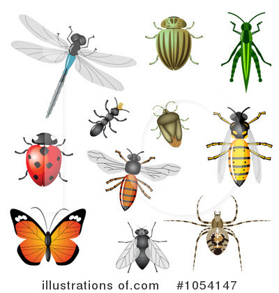 Dragonfly Clipart #1054147 by vectorace
