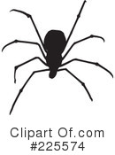 Bugs Clipart #225574 by KJ Pargeter