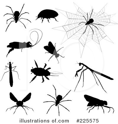 Royalty-Free (RF) Bugs Clipart Illustration by KJ Pargeter - Stock Sample #225575