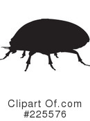 Bugs Clipart #225576 by KJ Pargeter
