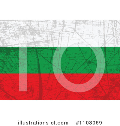 Bulgarian Flag Clipart #1103069 by Andrei Marincas
