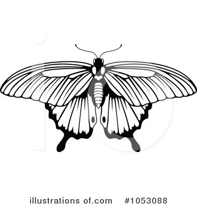 Butterflies Clipart #1053088 by AtStockIllustration
