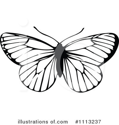 Butterfly Clipart #1113237 by Prawny Vintage