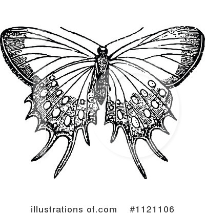 Royalty-Free (RF) Butterfly Clipart Illustration by Prawny Vintage - Stock Sample #1121106