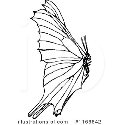 Butterfly Clipart #1166642 by Prawny Vintage