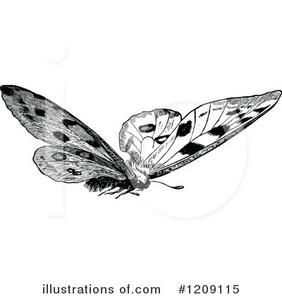 Royalty-Free (RF) Butterfly Clipart Illustration by Prawny Vintage - Stock Sample #1209115