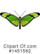 Butterfly Clipart #1451562 by AtStockIllustration