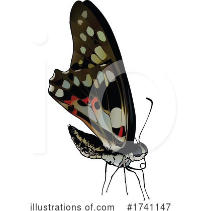Royalty-Free (RF) Butterfly Clipart Illustration by dero - Stock Sample #1741147